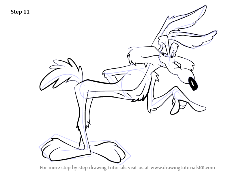 How to draw wile e coyote wile e coyote step by step
