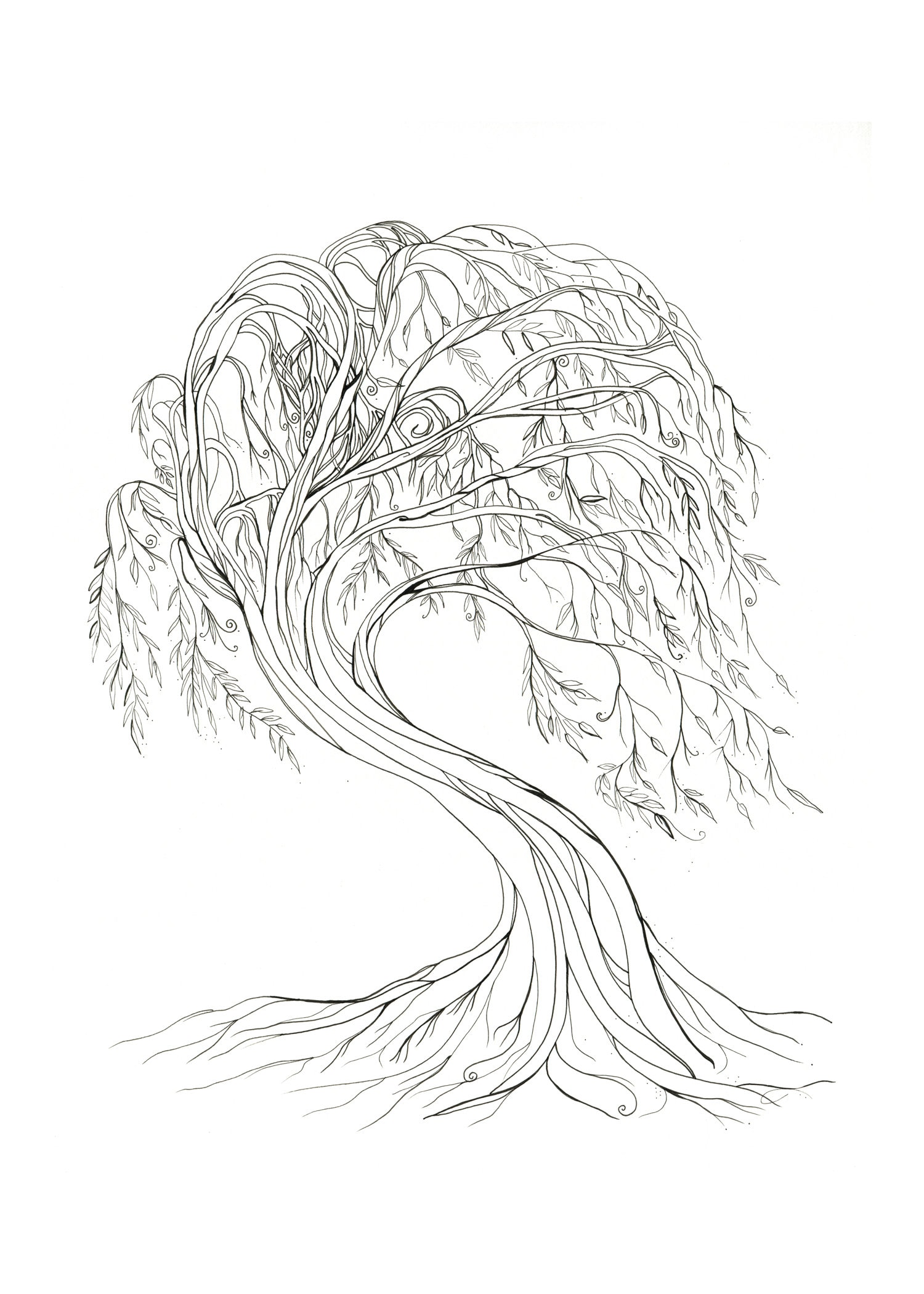 Whimsical willow print