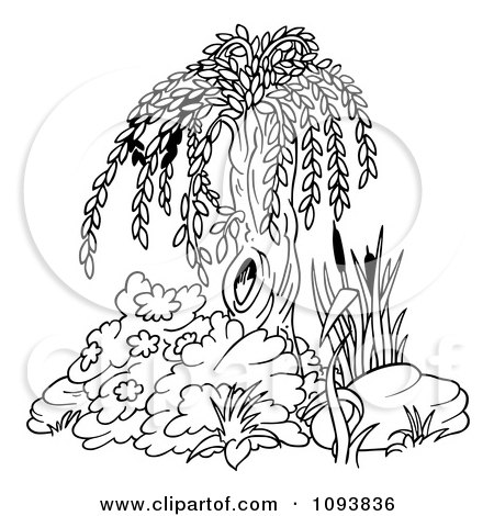 Clipart outlined willow tree and plants