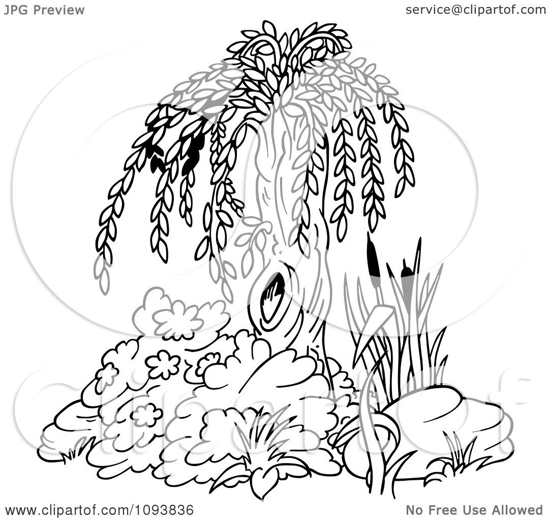 Clipart outlined willow tree and plants