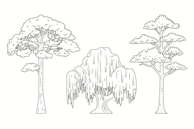 Page willow tree sketch images