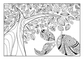 Willow tree louring page