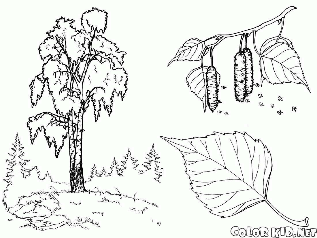 Coloring page