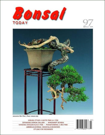 Bonsai today