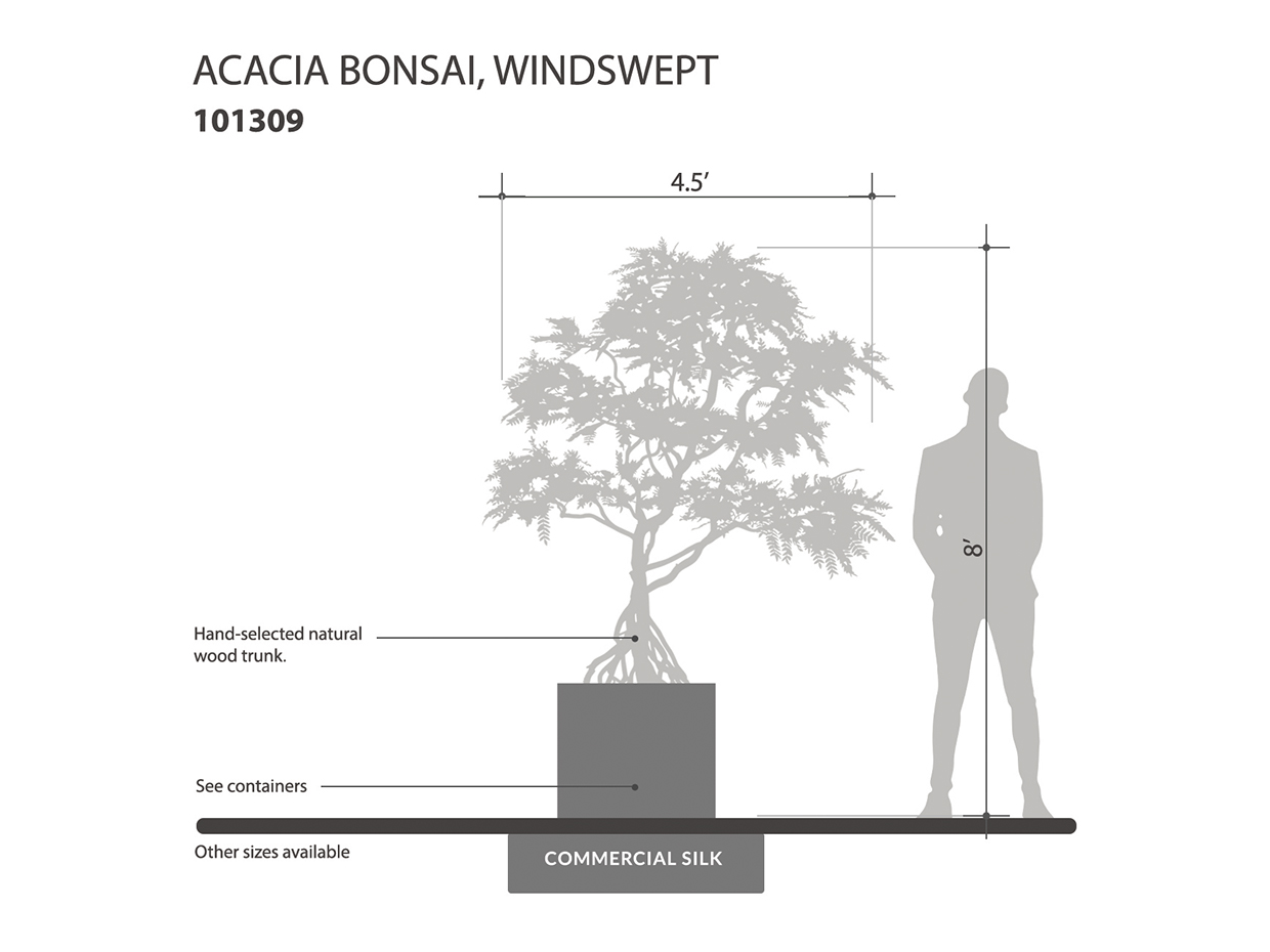 Artificial windswept acacia bonsai tree