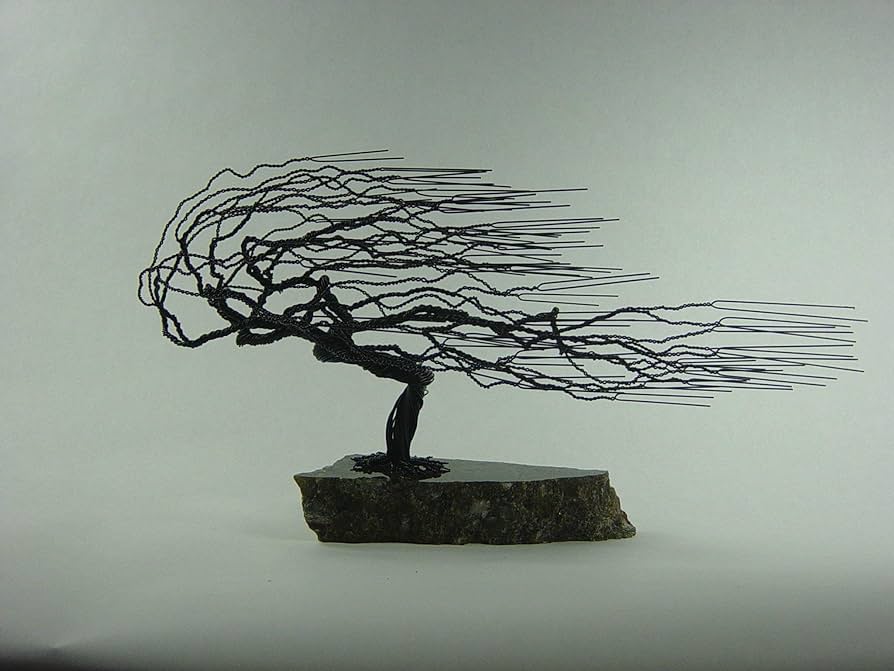 Windswept wire bonsai tree sculpture