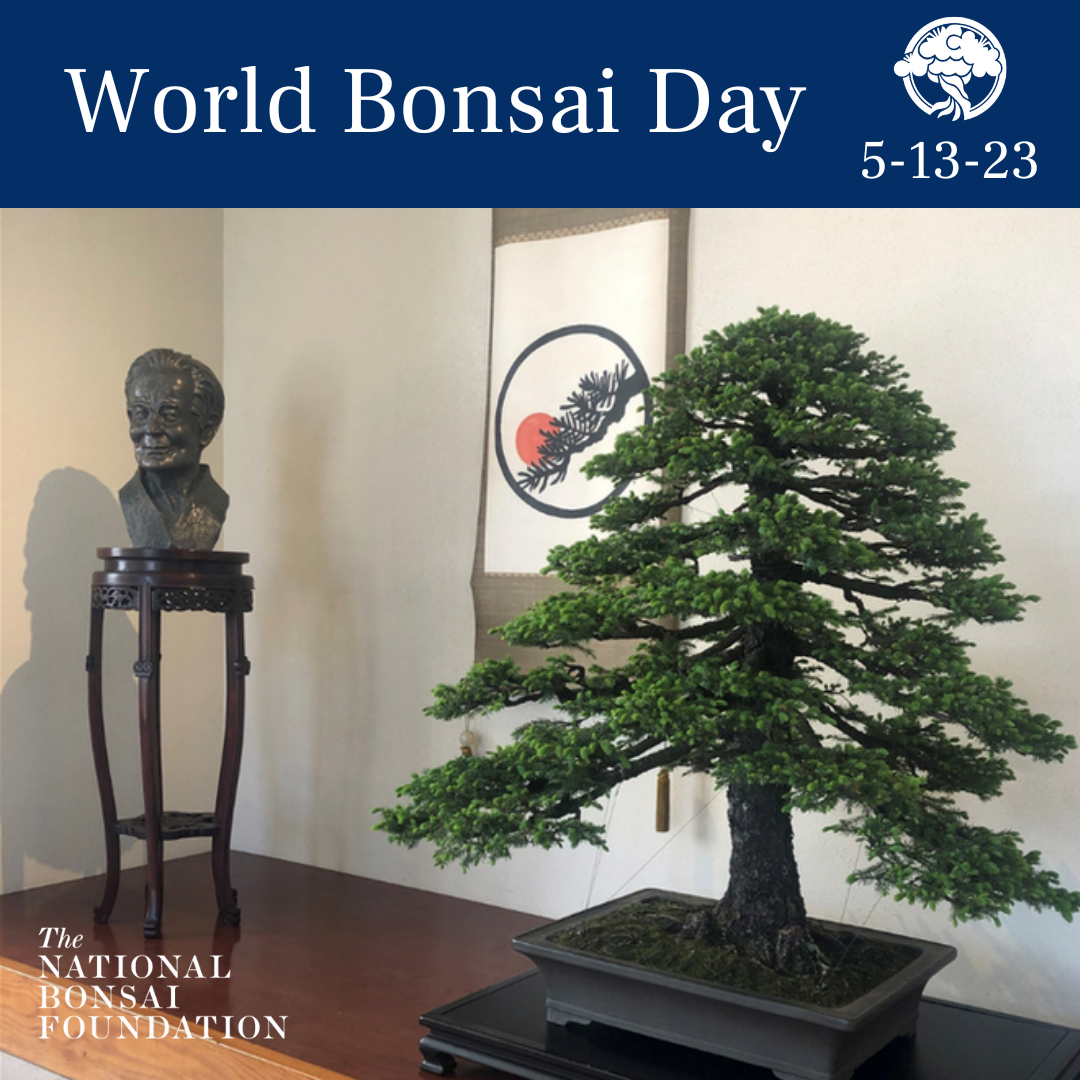 World bonsai day â national bonsai foundation