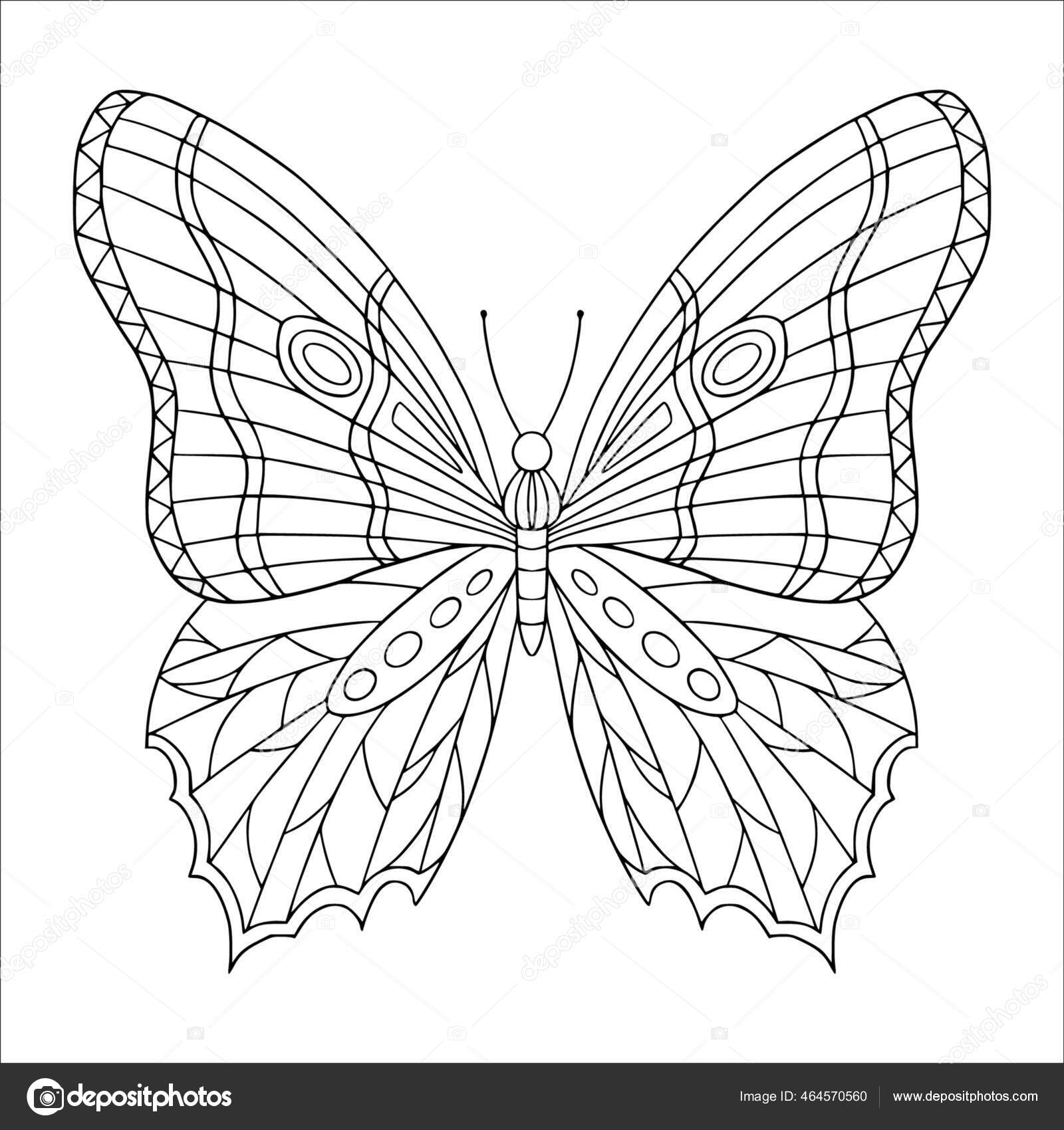Beautiful butterfly decorated wings coloring page vector outline illustration doodle stock vector by daniellabelaya