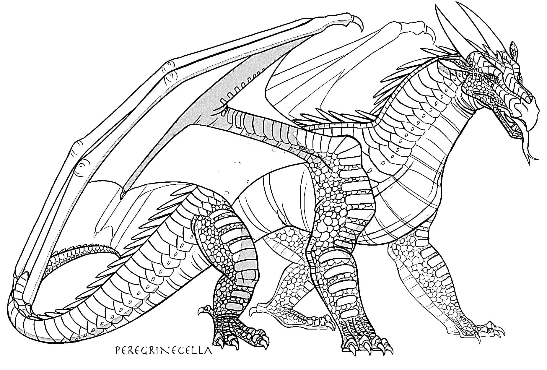 Wings of fire coloring pages