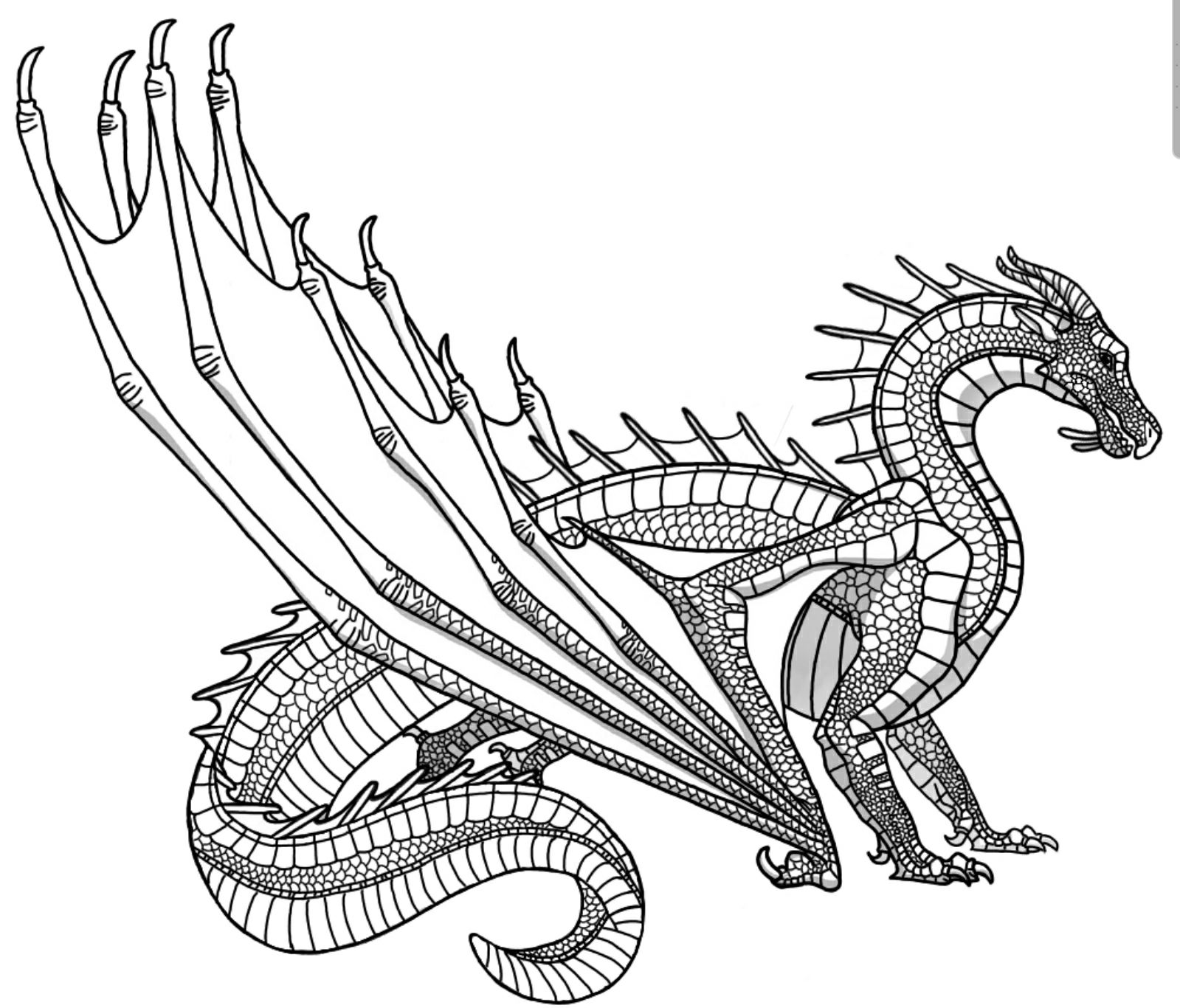 Wings of fire bases
