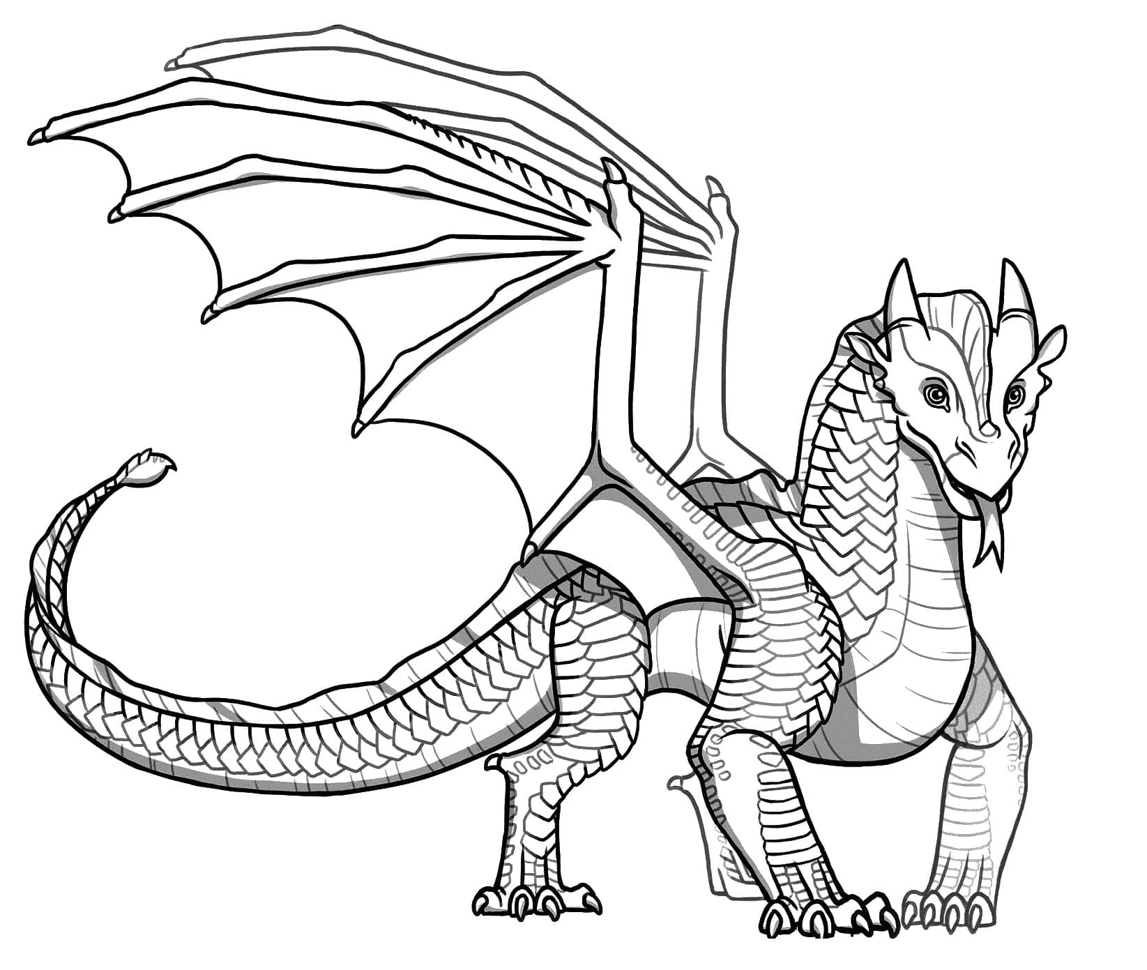 Wings of fire coloring pages