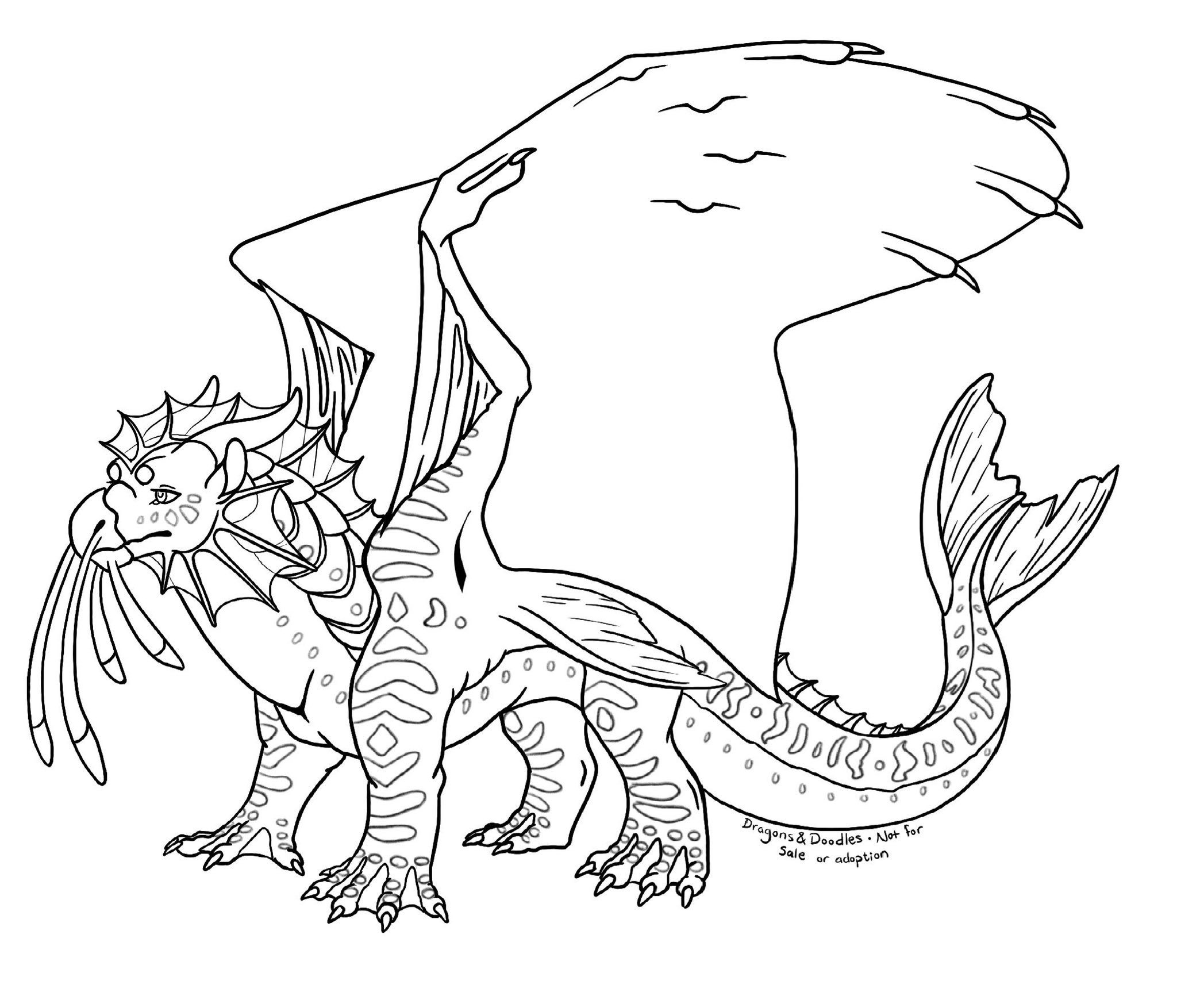 Dragons doodles on x seawing template just one more to go for the main tribes when i have the time to actually do it rip wof wingsoffire seawing httpstcoguvvbixzb