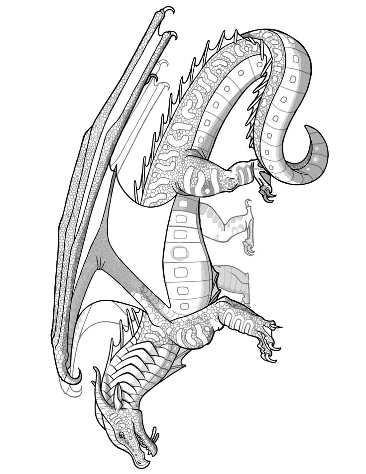 Seawing dragon coloring page transparent wings of fire coloring sheet pyrrhian dragon tribe dragon coloring page wings of fire dragons wings of fire