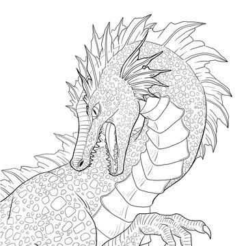Dragon coloring pages images â browse photos vectors and video