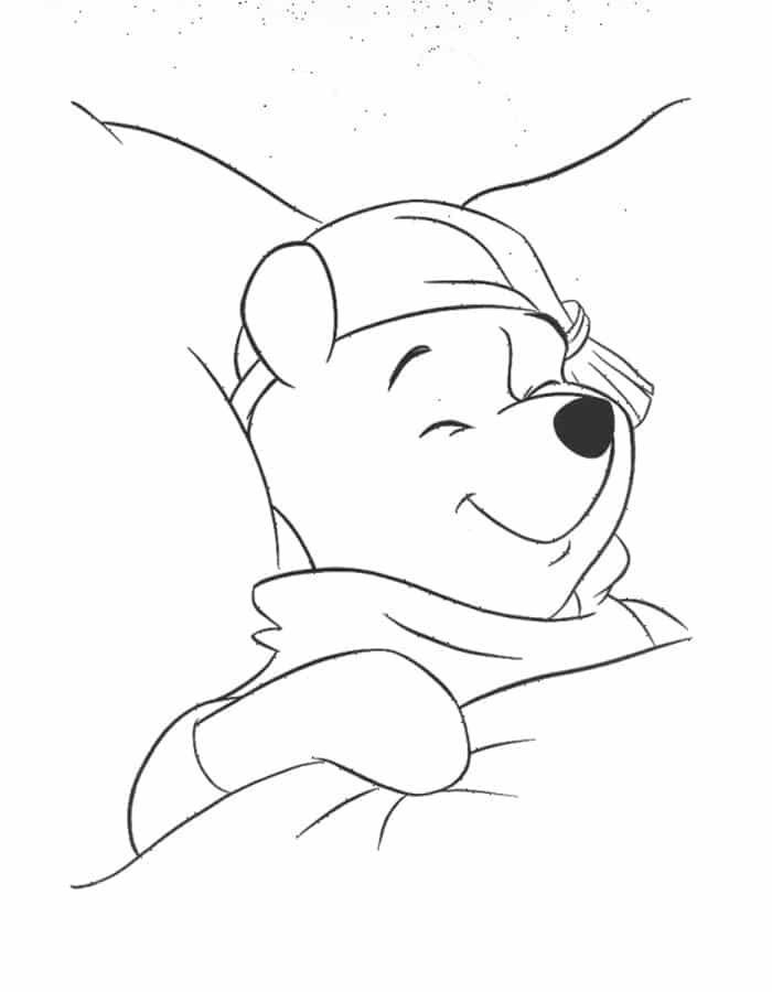 Winnie the pooh sleeping in his bed â