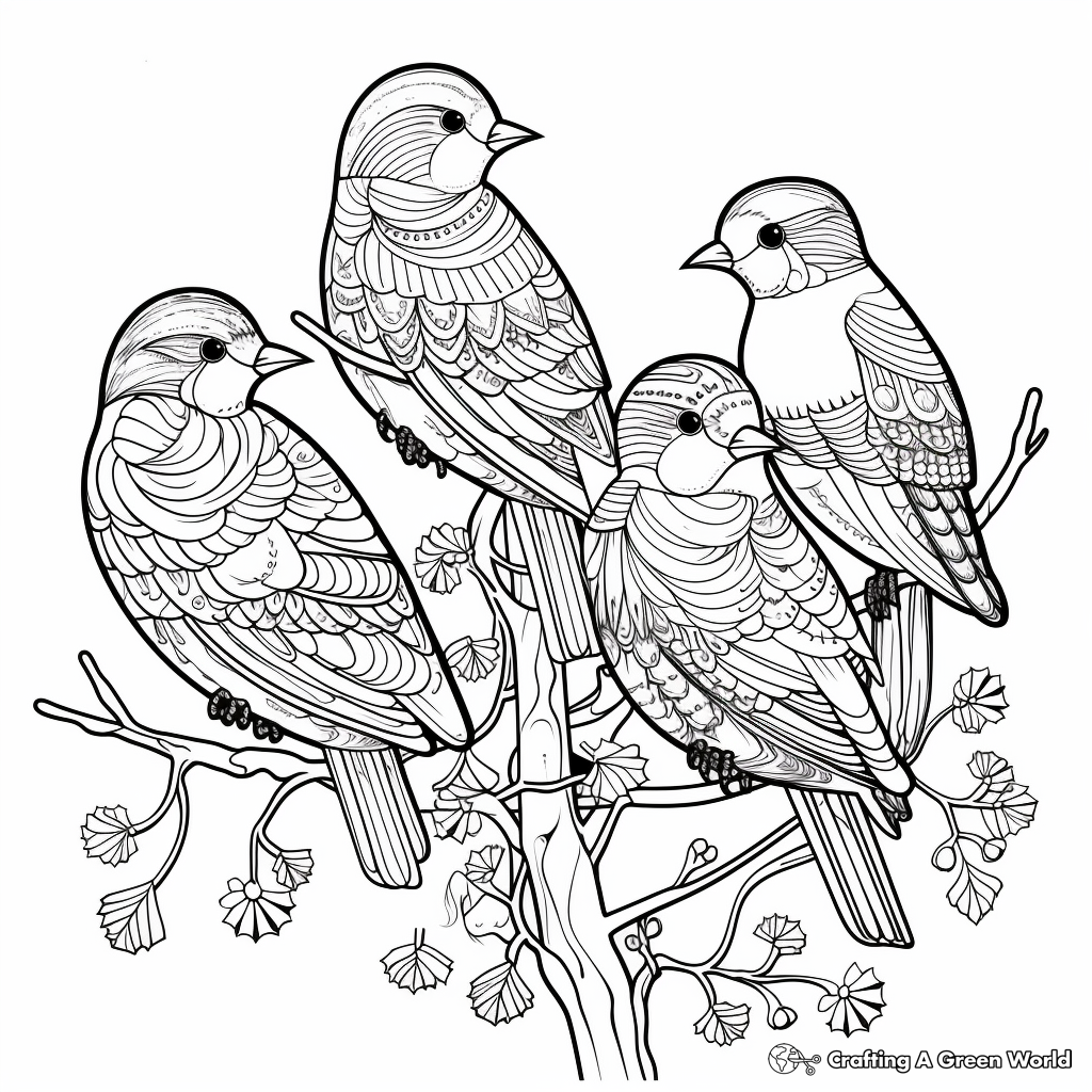 Winter birds coloring pages