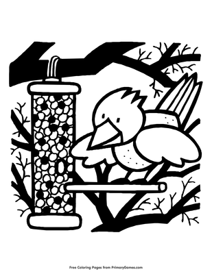 Bird eating from bird feeder coloring page â free printable pdf from
