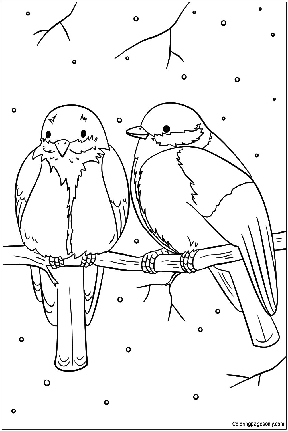 Winter birds coloring page