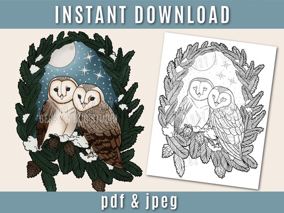 Winter owls coloring page coloring sheets bird coloring