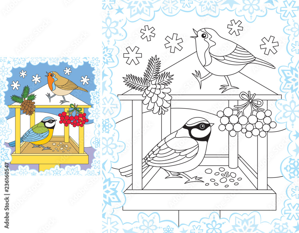 Snowflakes coloring pages winter birds feeder vector