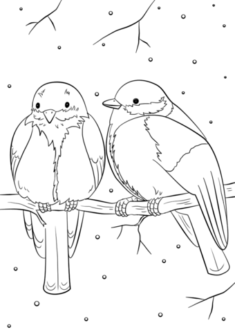 Winter birds coloring page free printable coloring pages