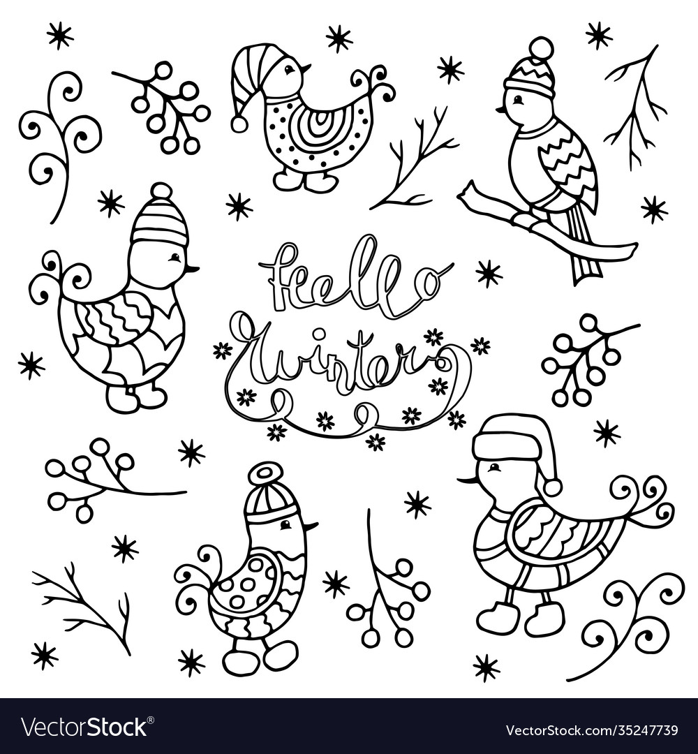 Set winter birds coloring page royalty free vector image