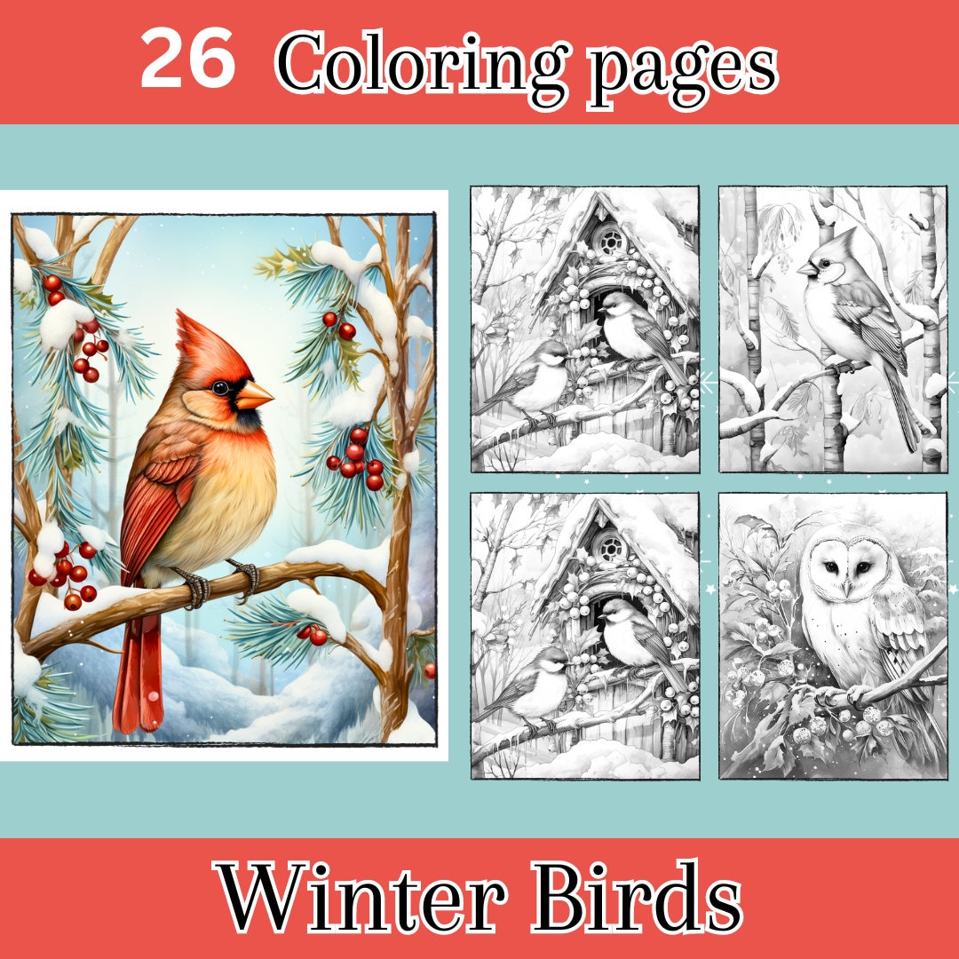 Winter birds adult coloring pages digital downloads