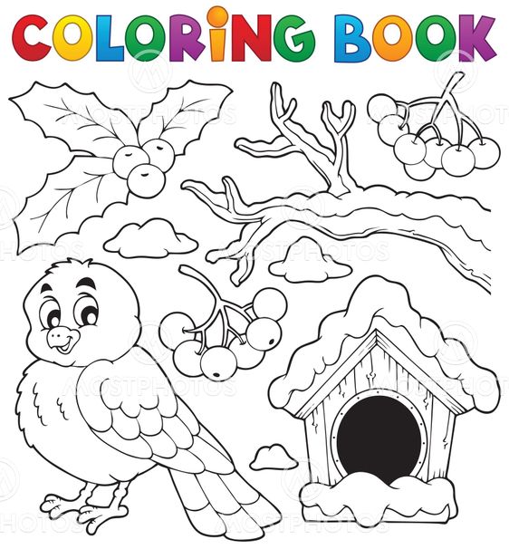 Coloring book winter bird t by klara viskova