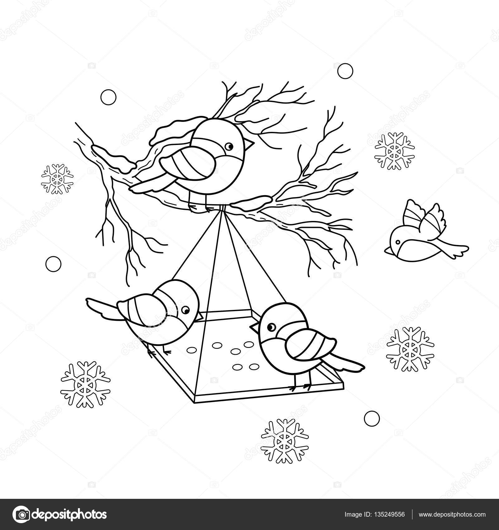 Coloring page outline of cartoon birds in the winter bird feeder bullfinch titmouse sparrows coloring book for kids stock vector by oleon