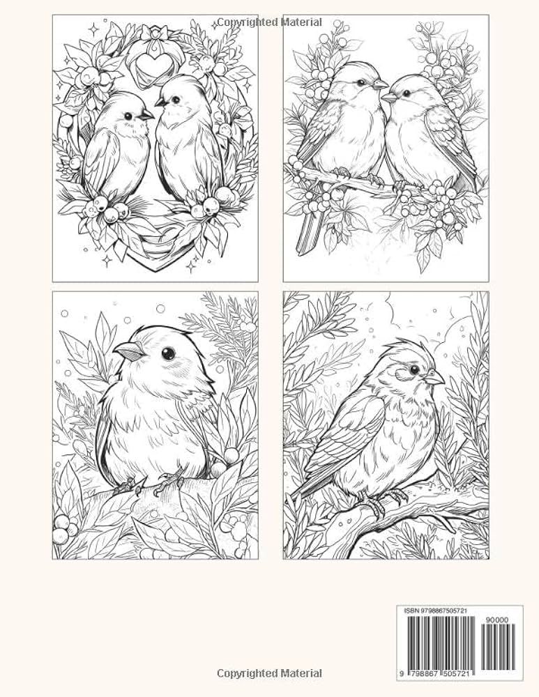 Christmas holly birds coloring book a collection of festive feathered friends in winter