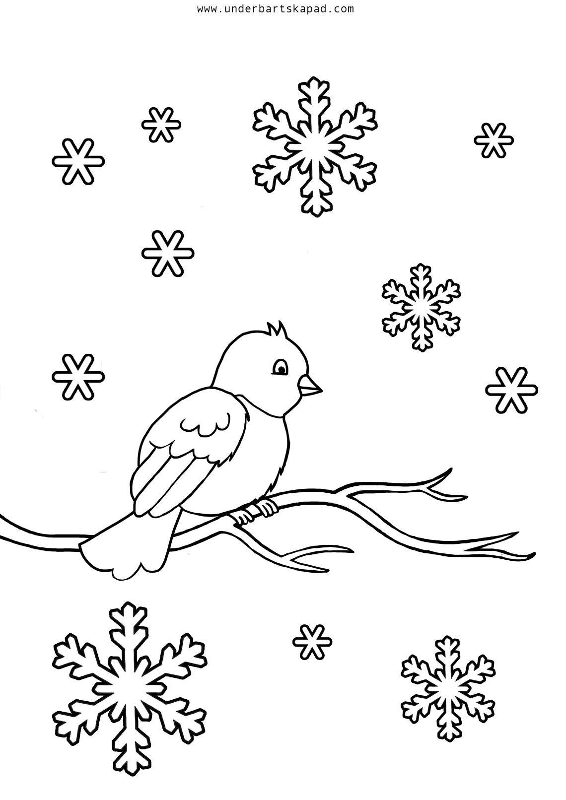 Winter coloring pages with birds