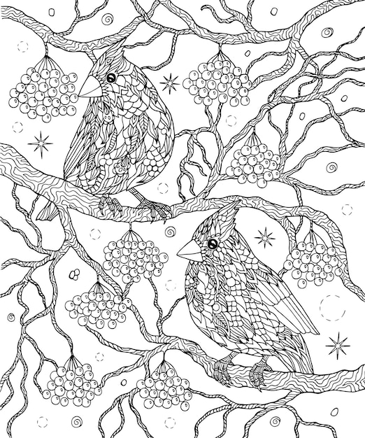 Premium vector birds and berries coloring page northern cardinals