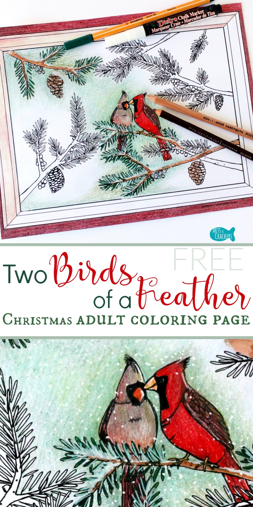 Winter cardinals christmas coloring page for adults