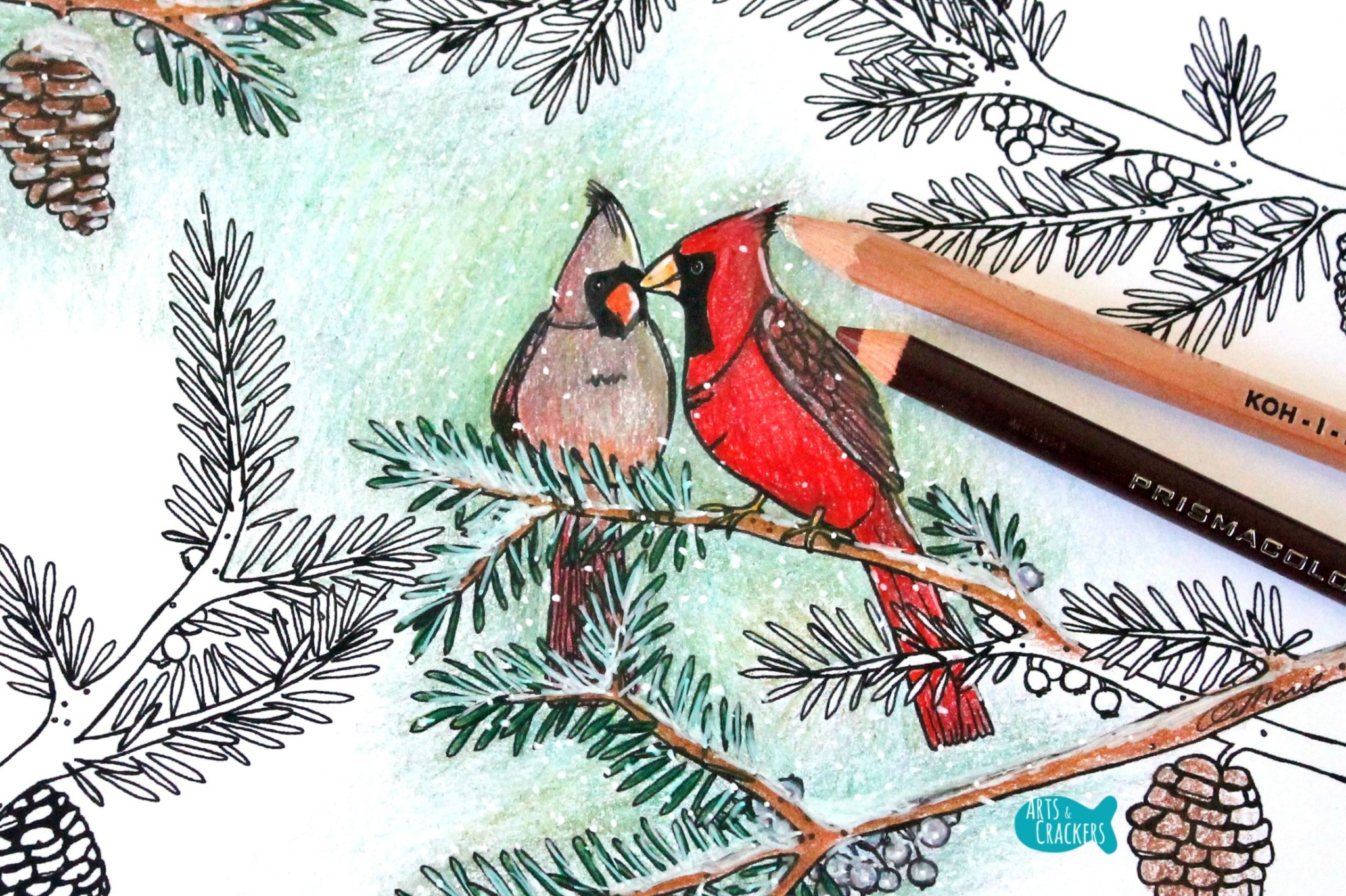 Winter cardinals christmas coloring page for adults