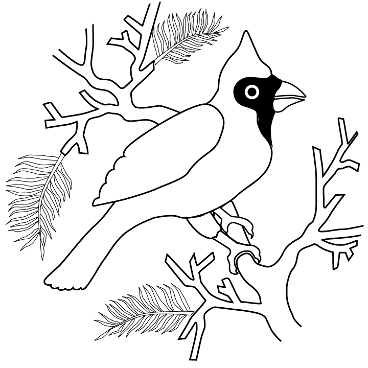 Cardinal coloring pages