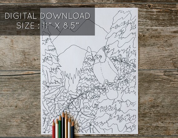 Cardinal coloring page cardinal winter coloring page christmas coloring pages winter coloring page mountains coloring instant download