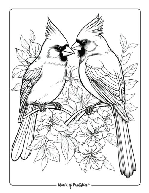 Bird coloring pages