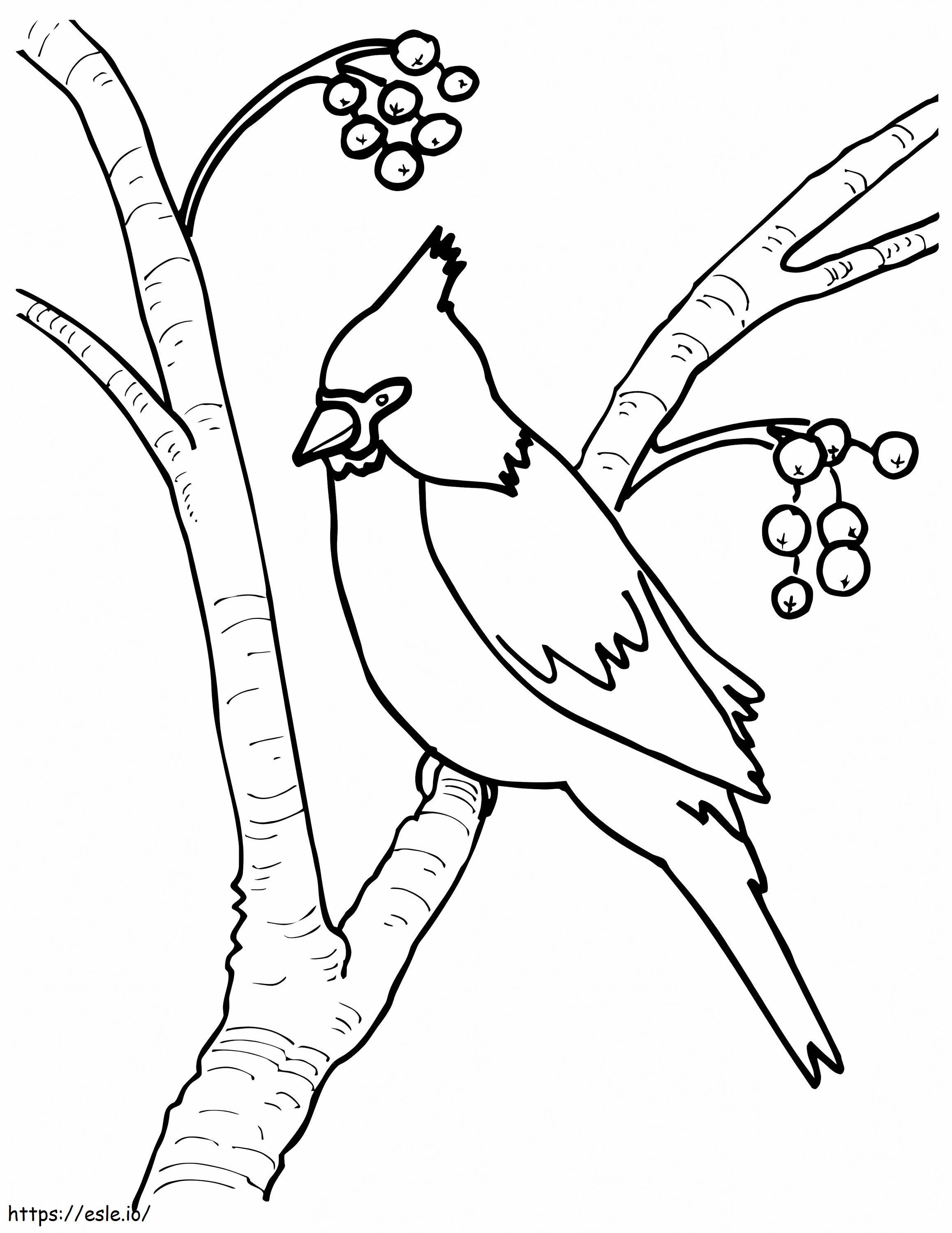 Cardinal on a tree coloring page