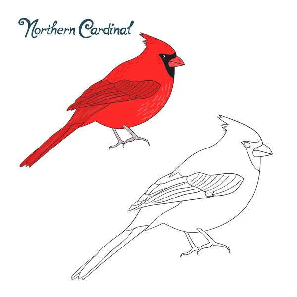 Cardinal vector images