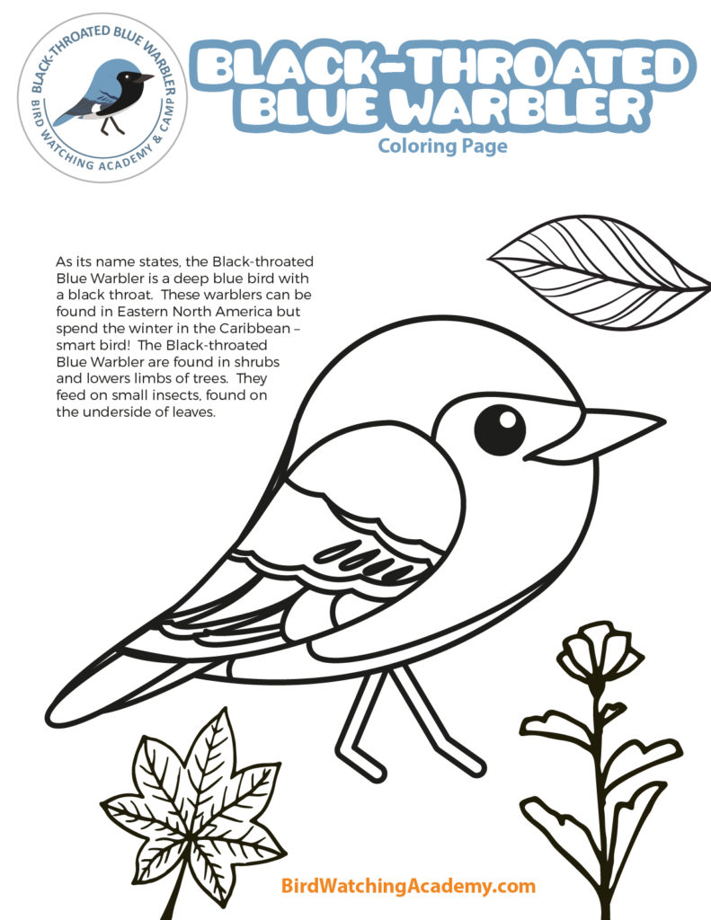 Bird coloring pages