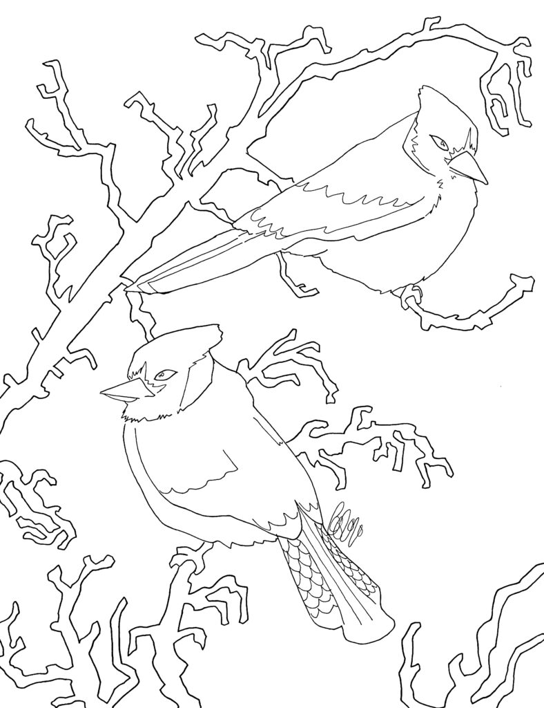 Two birds on a perch colouring sheet scyap
