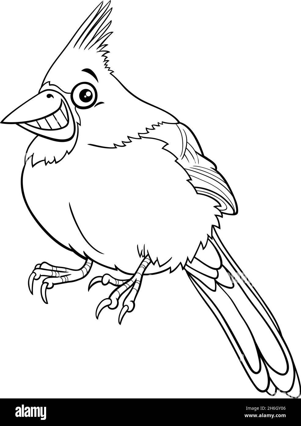 Cardinal bird black and white stock photos images