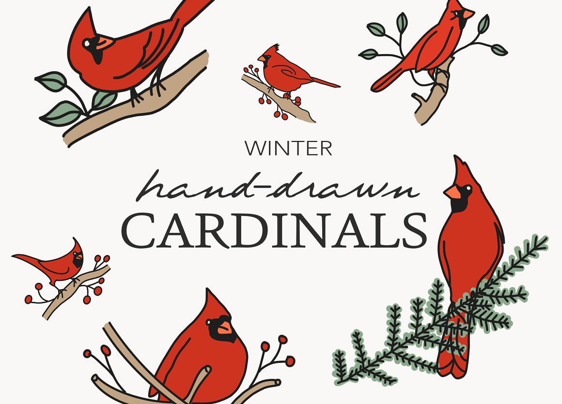 Cardinals clip art winter birds â