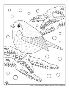Winter adult coloring pages woo jr kids activities childrens publishing