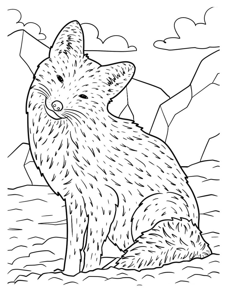 Arctic animals coloring pages by coloringpageswk on