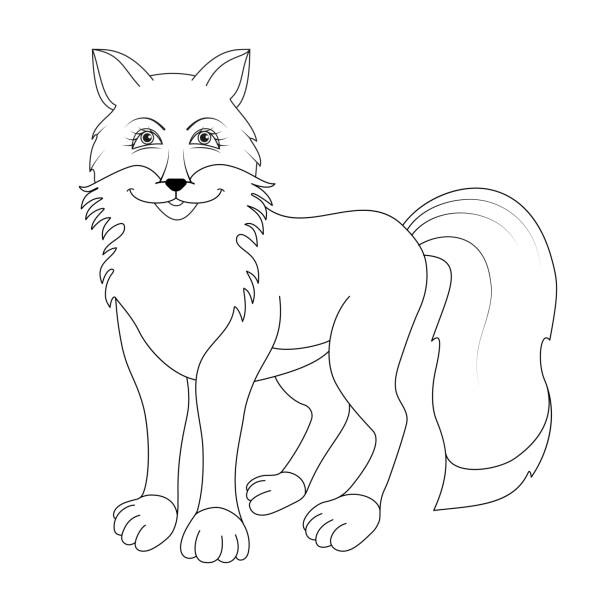 Fluffy fox coloring page stock illustrations royalty
