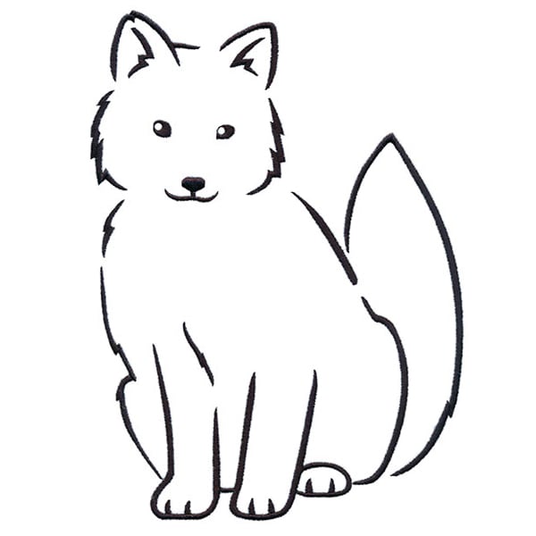 Curious winter fox