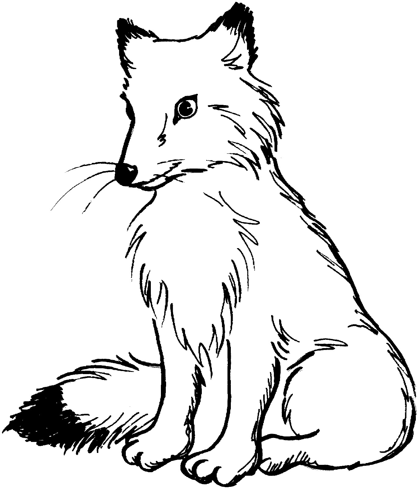 Free printable fox coloring pages for kids