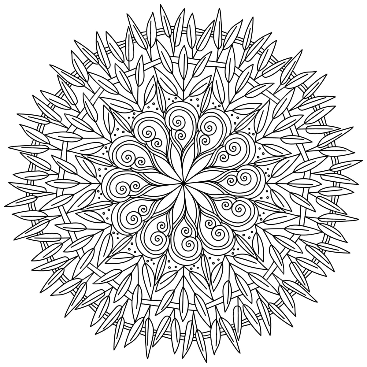 Meditative coloring page for autumn ornate mandala with branches and intricate patterns vector cat drawing man drawing ring drawing png and vector with transparent background for free download