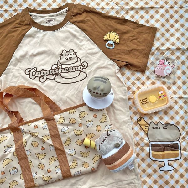 Summer pusheen box review